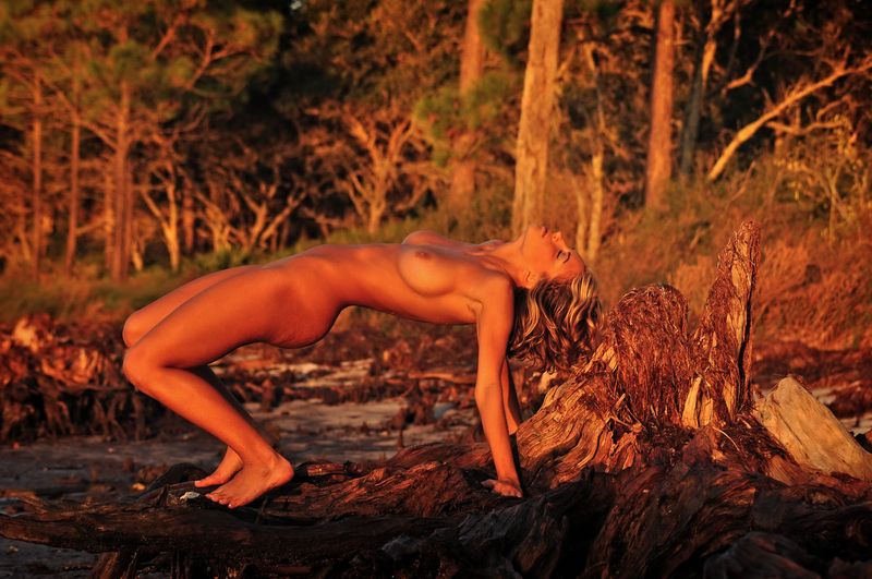 blonde girl tanned on the beach with driftwood during the sunset