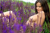 Babes: cute young brunette girl reveals on the field of wild flowers