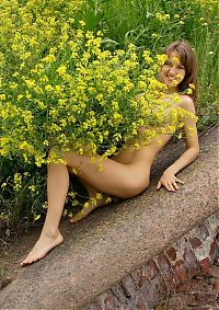 Babes: young brunette girl outside in yellow flowers