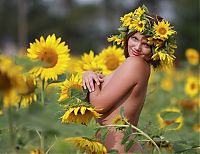 Babes: blonde girl on a field of sunflowers