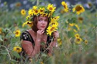 Babes: blonde girl on a field of sunflowers