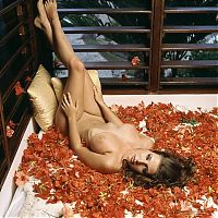 Babes: brunette girl reveals among petals leaves at the window with blinds