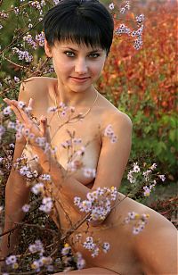 Babes: black haired girl in the field of flowers