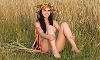 Nake.Me search results: young brunette girl with a flower wreath on the wheat field