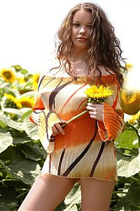 Babes: young curly brunette girl in the field of sunflowers