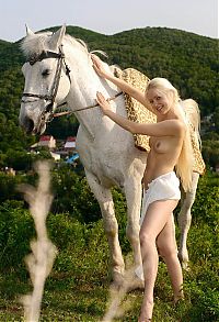 Nake.Me search results: young blonde girl with a white top riding on the white horse in the nature
